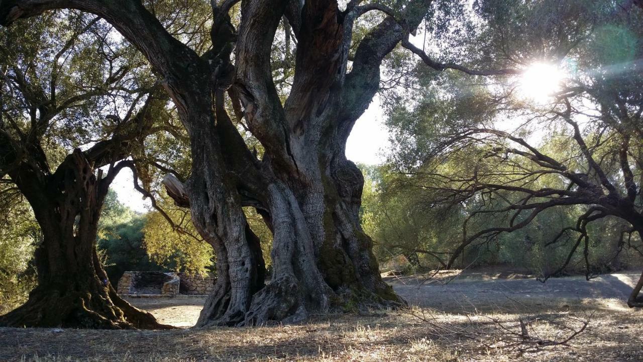 Il Giardino All'Angolo Villacidro Exteriér fotografie