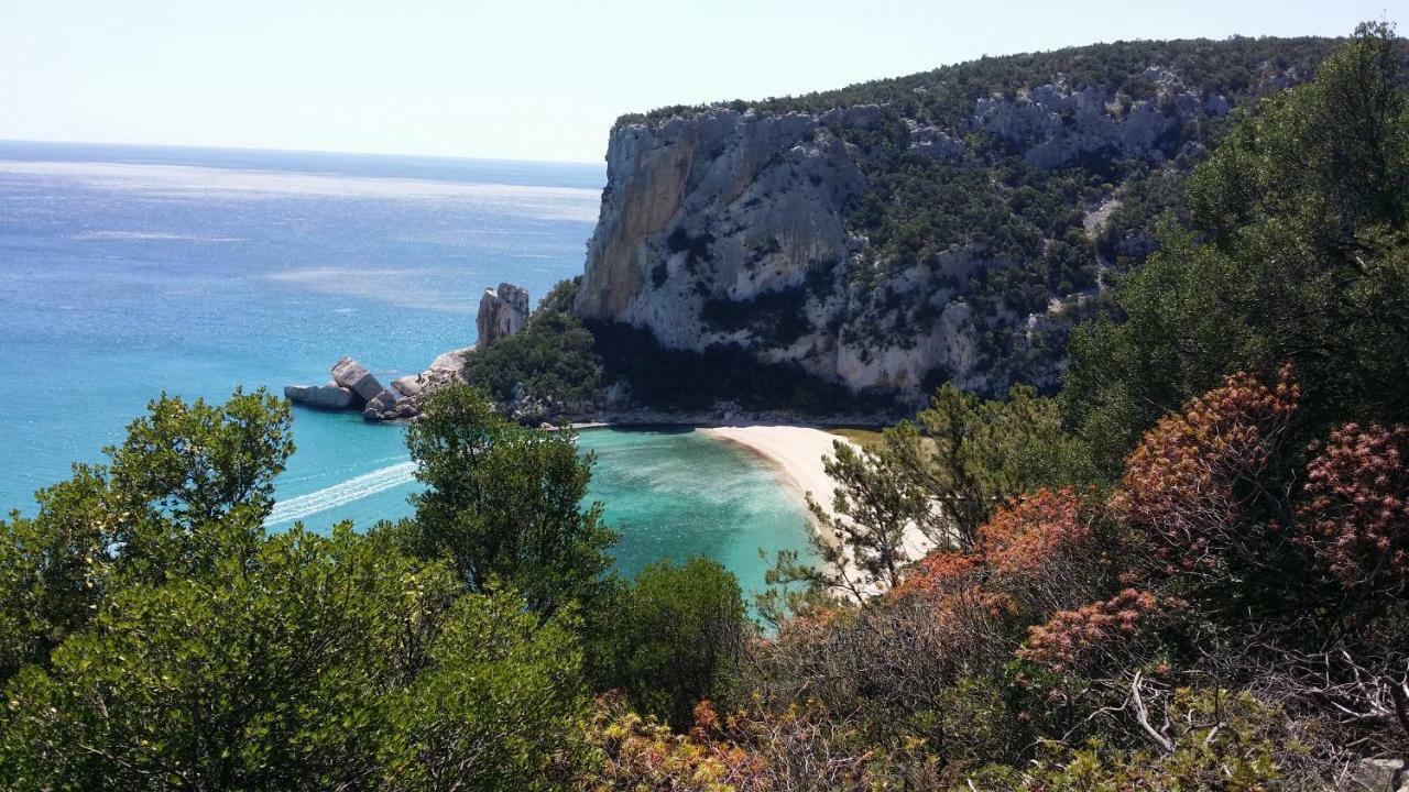 Il Giardino All'Angolo Villacidro Exteriér fotografie