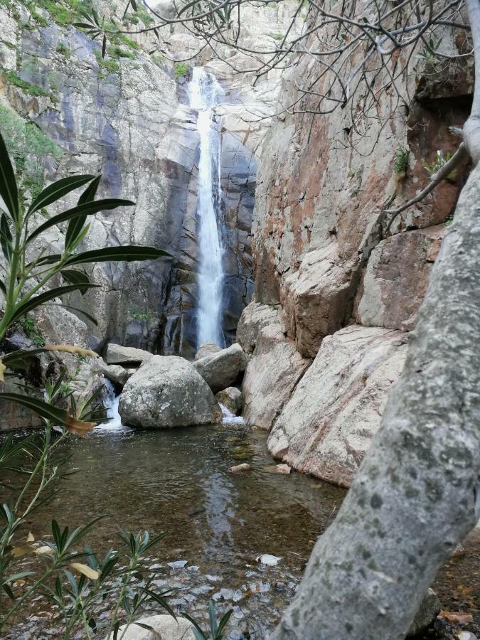 Il Giardino All'Angolo Villacidro Exteriér fotografie