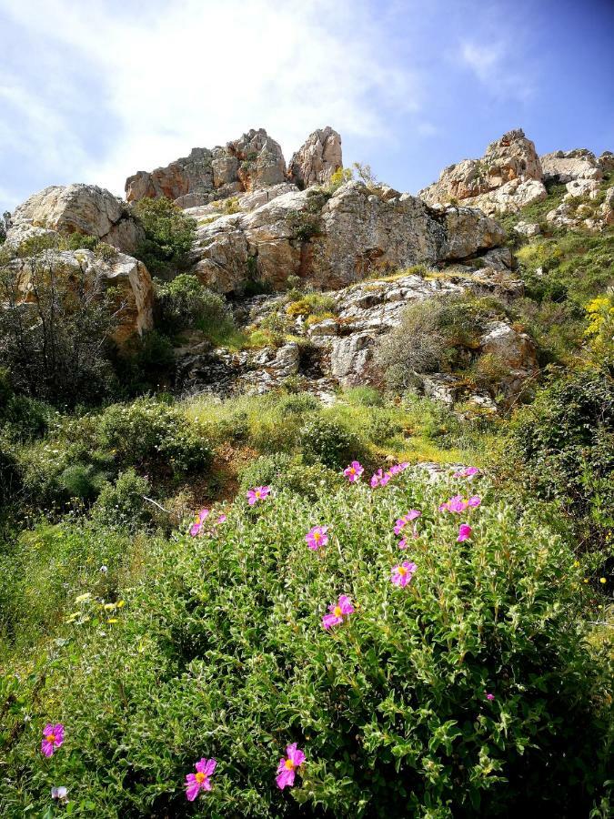 Il Giardino All'Angolo Villacidro Exteriér fotografie